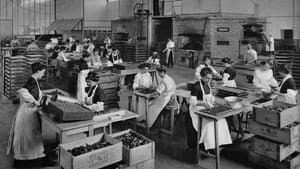 L'Histoire Gourmande de LU — foto 1