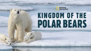Kingdom of the Polar Bears — foto 1