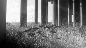 Facticity — foto 3