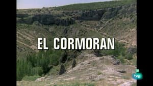 Episodio 49