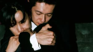 トルソ — foto 6