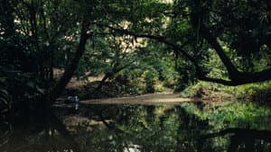 buen vivir – ñutse canseye — foto 2
