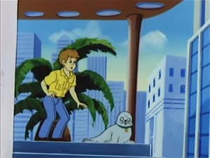 Episodio 24