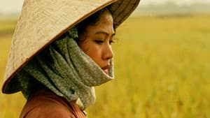 Thương nhớ đồng quê — foto 3