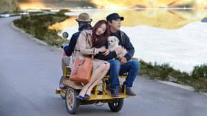 心花路放 — foto 3