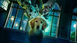 Cachorros fantasmas — foto 2