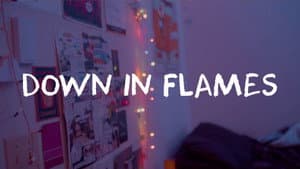 Down in Flames — foto 10