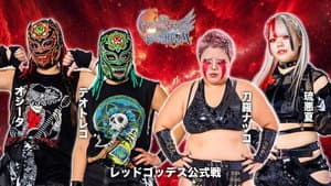 第15回 ゴッデス・オブ・スターダム ～タッグリーグ戦～ in KYOTO — foto 3