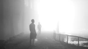 Fragmentos De Sueño — foto 2