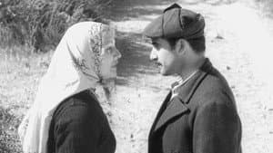 Aysel, Bataklı Damın Kızı — foto 1