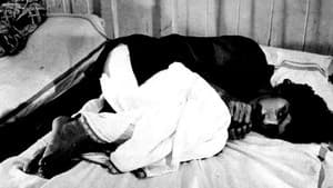 പോക്കുവെയിൽ — foto 1