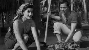 Biyaya ng Lupa — foto 2