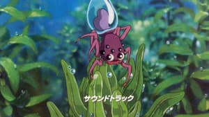 水グモもんもん — foto 6