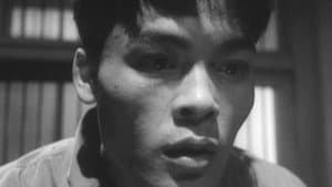 真昼の暗黒 — foto 1