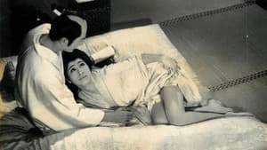 徳川女系図 — foto 1
