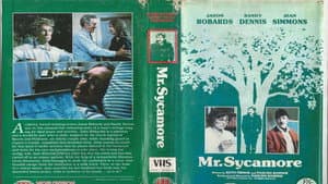 Mr. Sycamore — foto 1