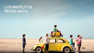 Los insólitos peces gato — foto 3