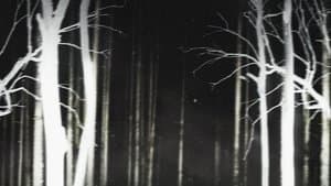 Terror en Shelby Oaks — foto 3