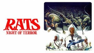 La noche de las ratas — foto 3