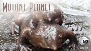 La fuerza vital de nuestro planeta — foto 3
