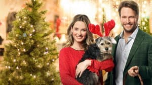 Picture a Perfect Christmas — foto 2