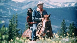 Mustang Country — foto 1