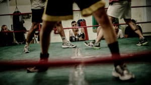 Calcio storico — foto 10