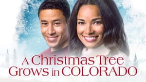 A Christmas Tree Grows in Colorado — foto 4