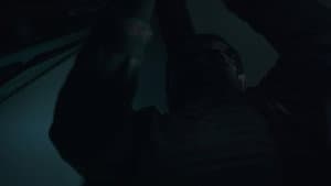 Trauma — foto 4