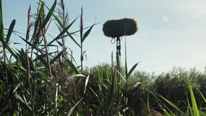 In a Silent Way — foto 1