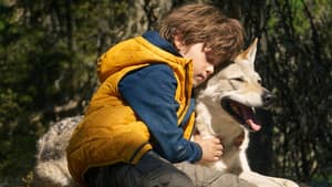 Bruno y el lobo — foto 1