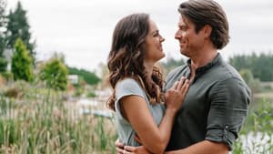 Love Stories in Sunflower Valley — foto 3
