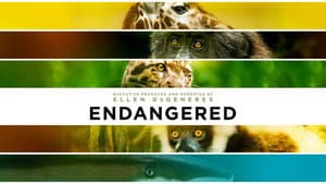 Endangered — foto 3