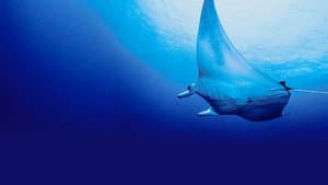 Deep Sea Killers — foto 7