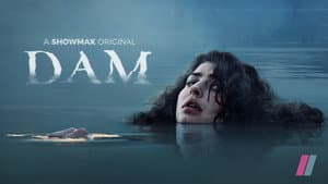Dam — foto 2
