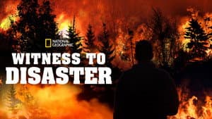 Witness to Disaster — foto 4