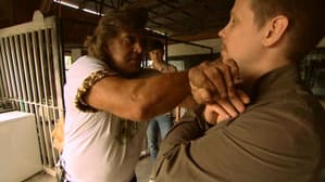 Episodio 4