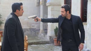 Episodio 24