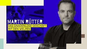 Martin Rütter - Das gnadenlose Geschäft mit den Welpen — foto 1