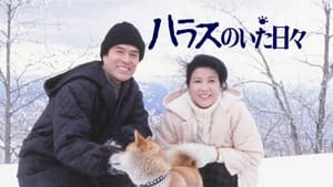 ハラスのいた日々 — foto 1