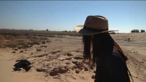 A MARTE DESDE TIERRA — foto 12