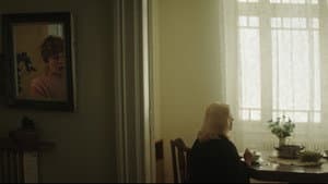 Papaveri e Papere — foto 2