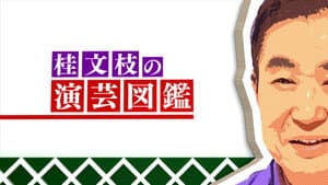 演芸図鑑 — foto 1