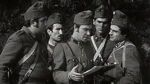 Bors — foto 2