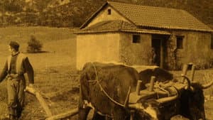 El cautivo — foto 2