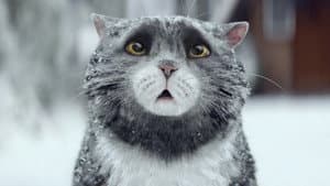 Sainsbury's: Mog's Christmas Calamity — foto 1