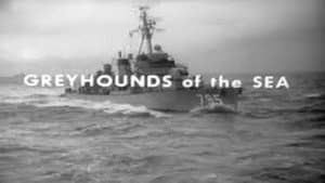 Greyhounds of the Sea — foto 1