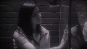 Melody on Earth — foto 1