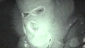 Not Found 5　－ネットから削除された禁断動画－ — foto 1