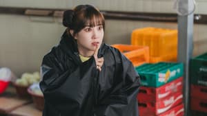 원더풀스 — foto 3